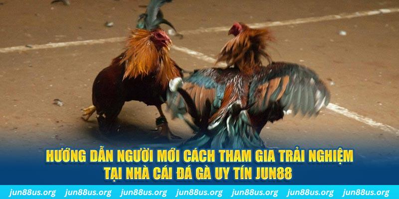 CQ9 Điện Tử