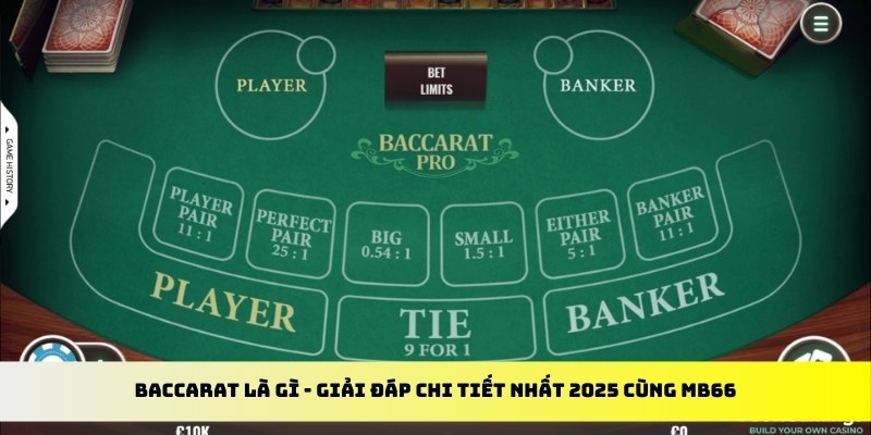 2233win gà chọi cu cần