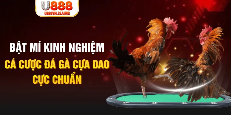 2233win tỷ lệ cá cược châu á là gì