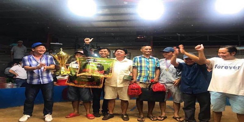 2233win đá gà trực tiếp hôm nay