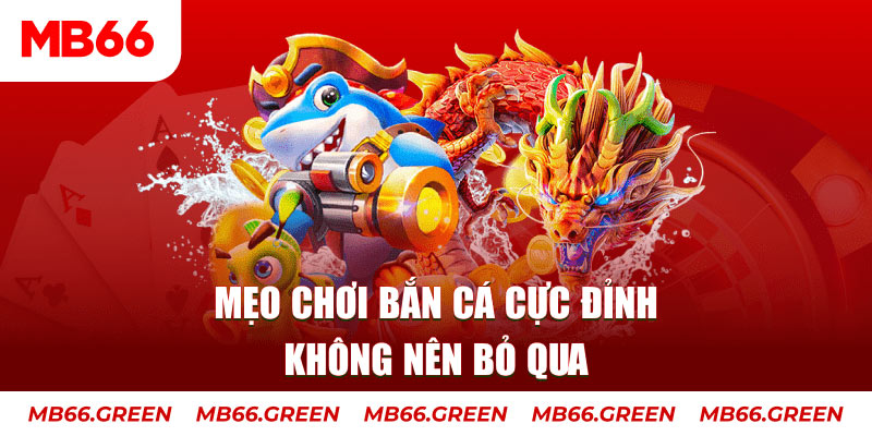 2233win xổ số miền bắc
