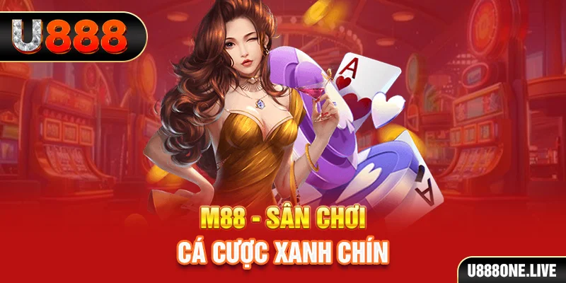 2233win xổ số miền nam hàng tuần