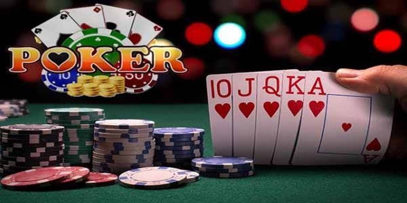 2233win đá gà thomo trực tiếp