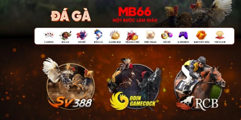 2233win đăng nhập poker số 1