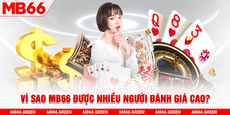 2233win đá gà