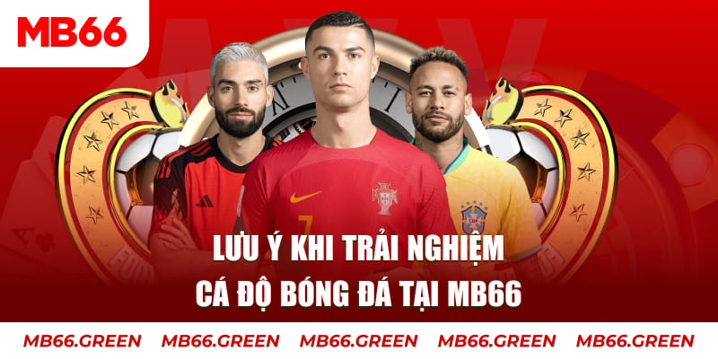 2233win cá cược là gì
