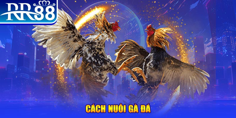 2233win xổ số an giang