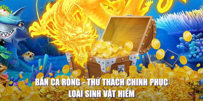 2233win máy slot game là loại trò chơi gì？