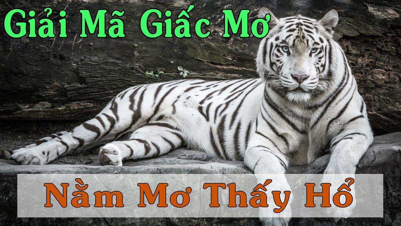 WM Trực Tuyến