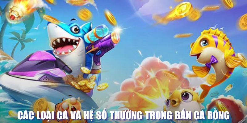 2233win đăng nhập sòng bạc mới nhất