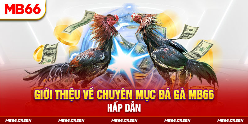 đăng nhập sòng bạc đổi thưởng