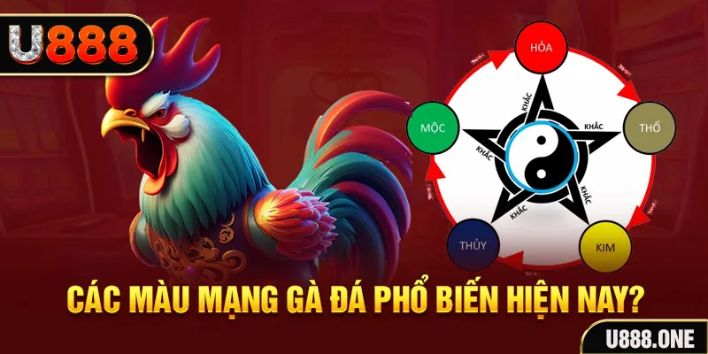 2233win trực tiếp đá gà 88