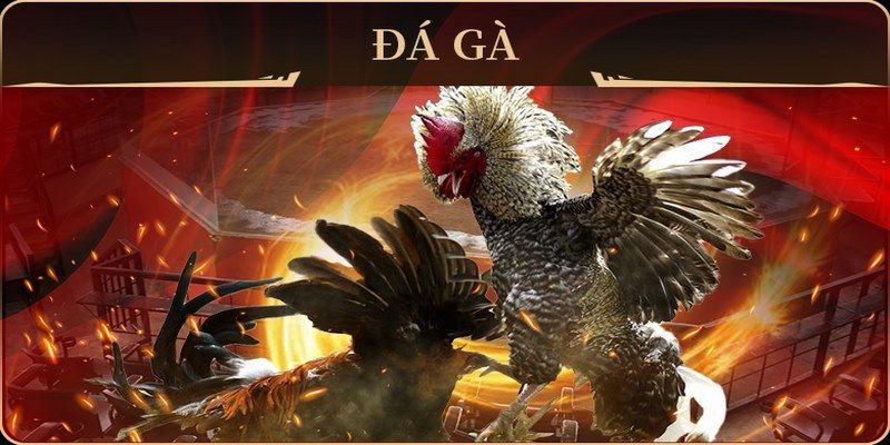 2233win xổ số miền nam thứ hai