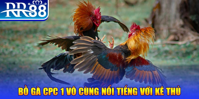 2233win game máy bay nổ hũ