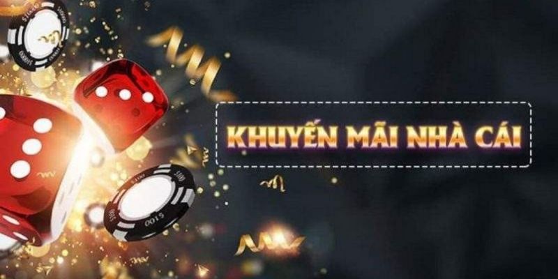2233win what is live dealer casino