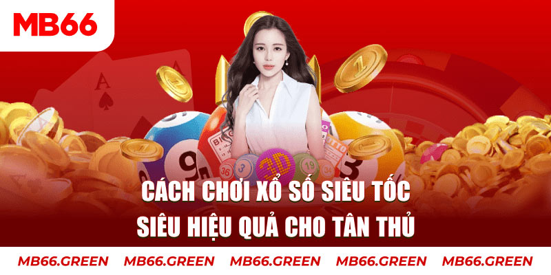 2233win Cỡ bảy