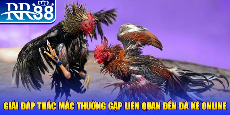 2233win xổ số đà lạt