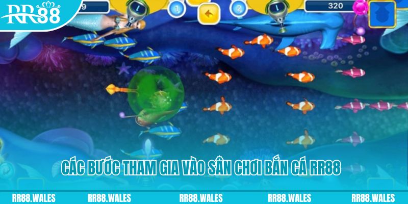 2233win bắn cá xèng 3