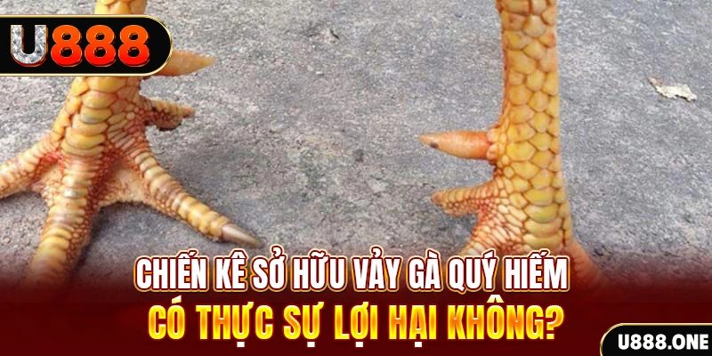 2233win nohu .mx nổ hủ là gì