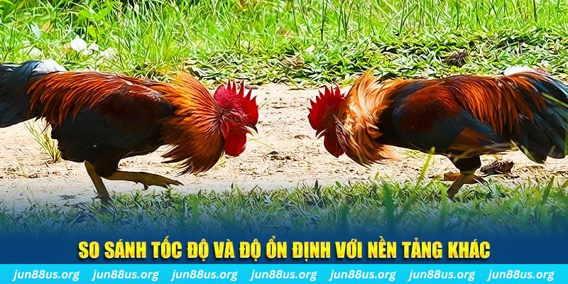 2233win đá gà hôm nay