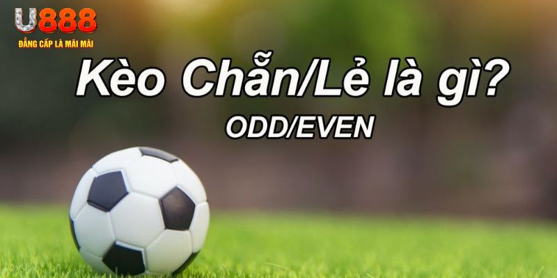 2233win đăng nhập poker hôm nay