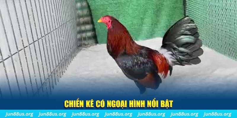 2233win chạy quảng cáo cho game bài bị phạt như thế nào