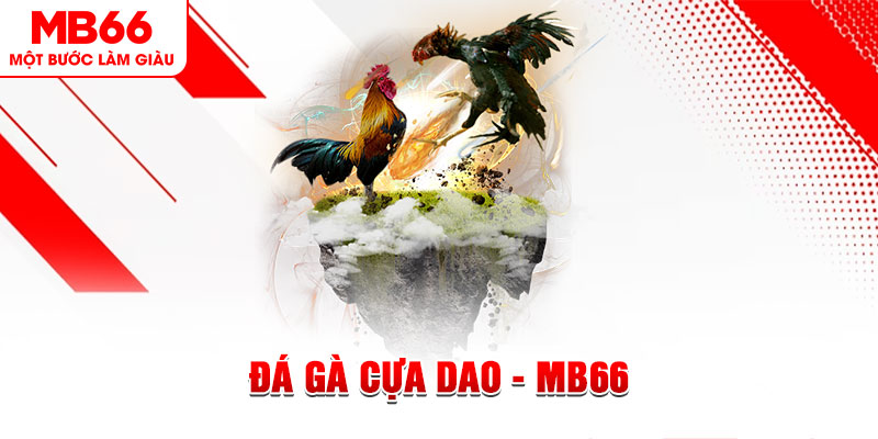 2233win đá gà sv388 gold
