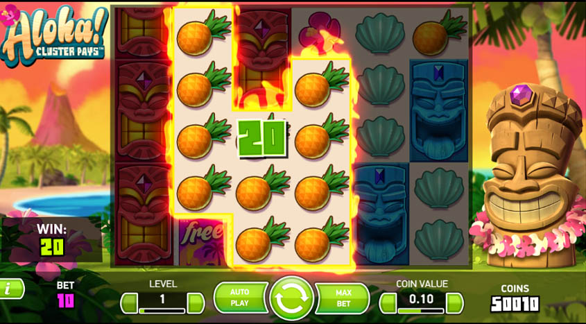 2233win đá gà cựa dao