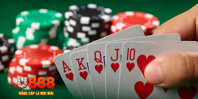 2233win đá gà trực tiếp thomo 67