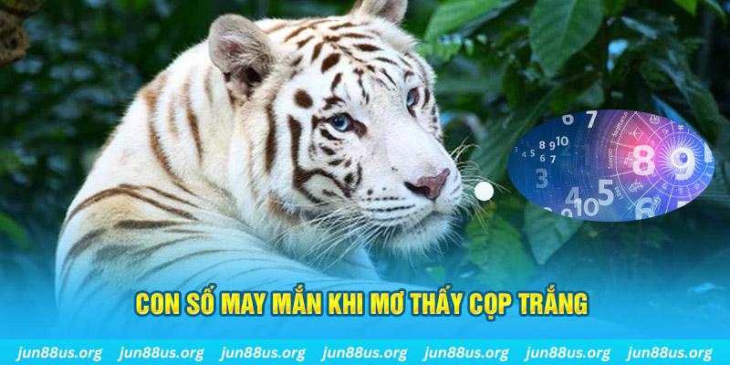 2233win đá gà trực tiếp 88