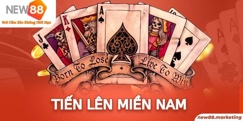 2233win xổ số miền nam thứ sáu